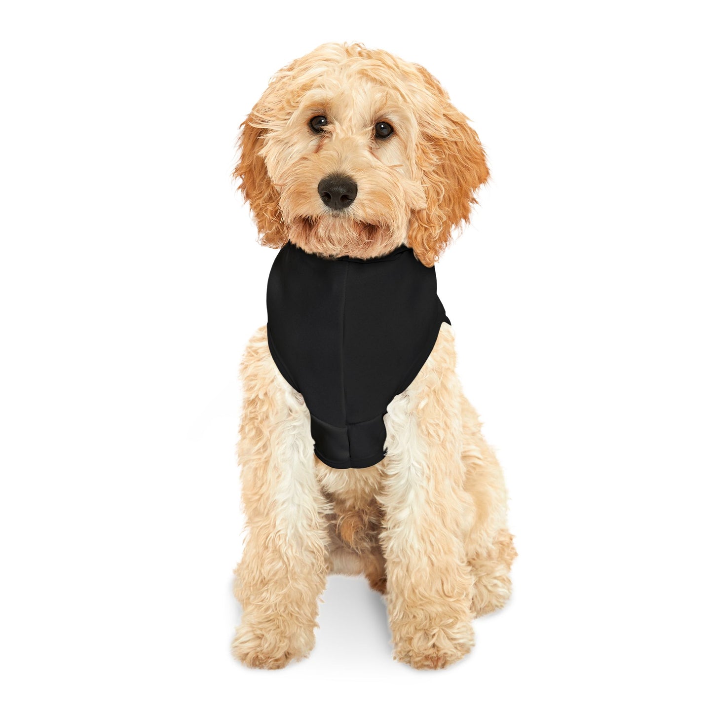 Cute Frenchie Black Halloween Dog Hoodie – Too Cute to Spook!