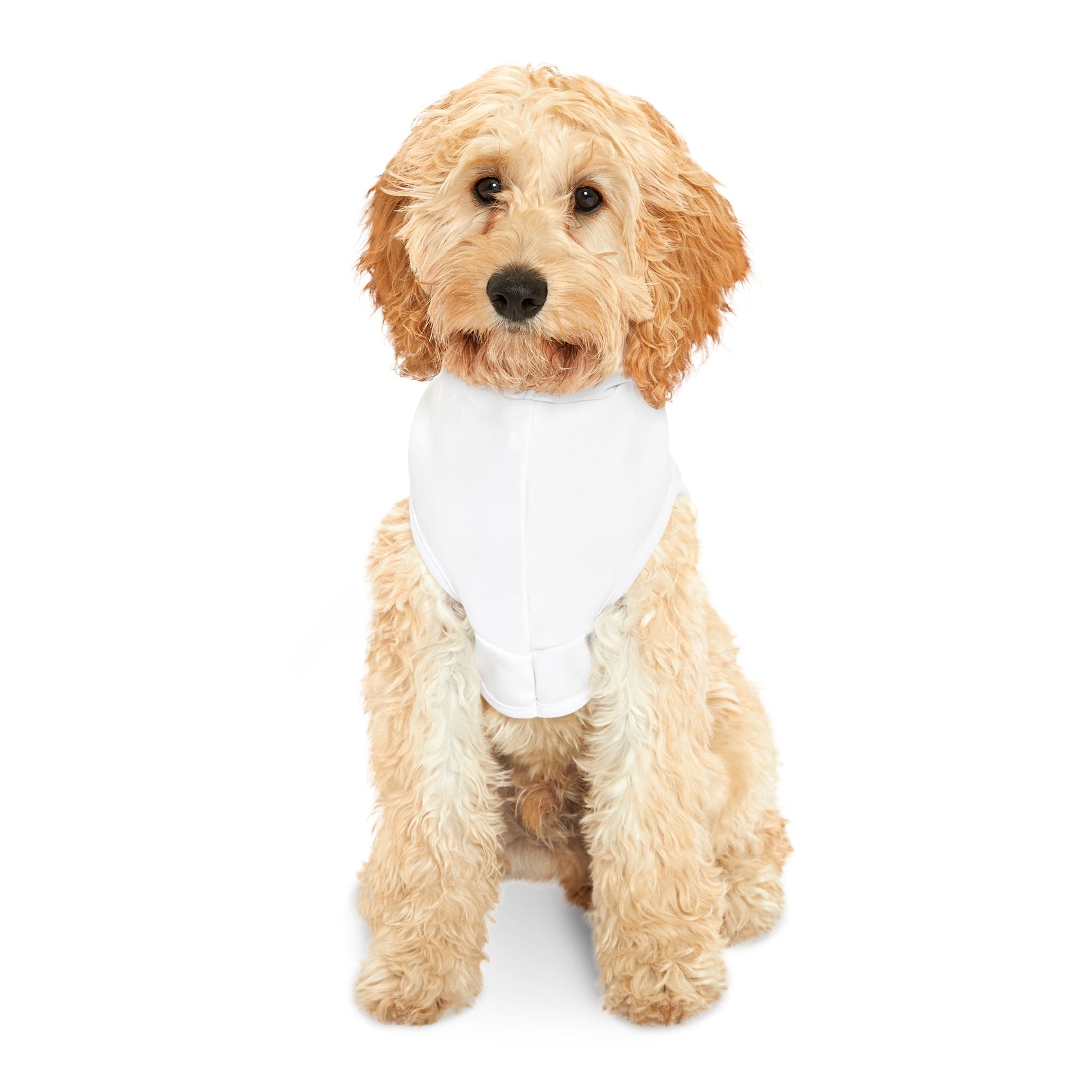 Dog wearing a white bandana on a white background