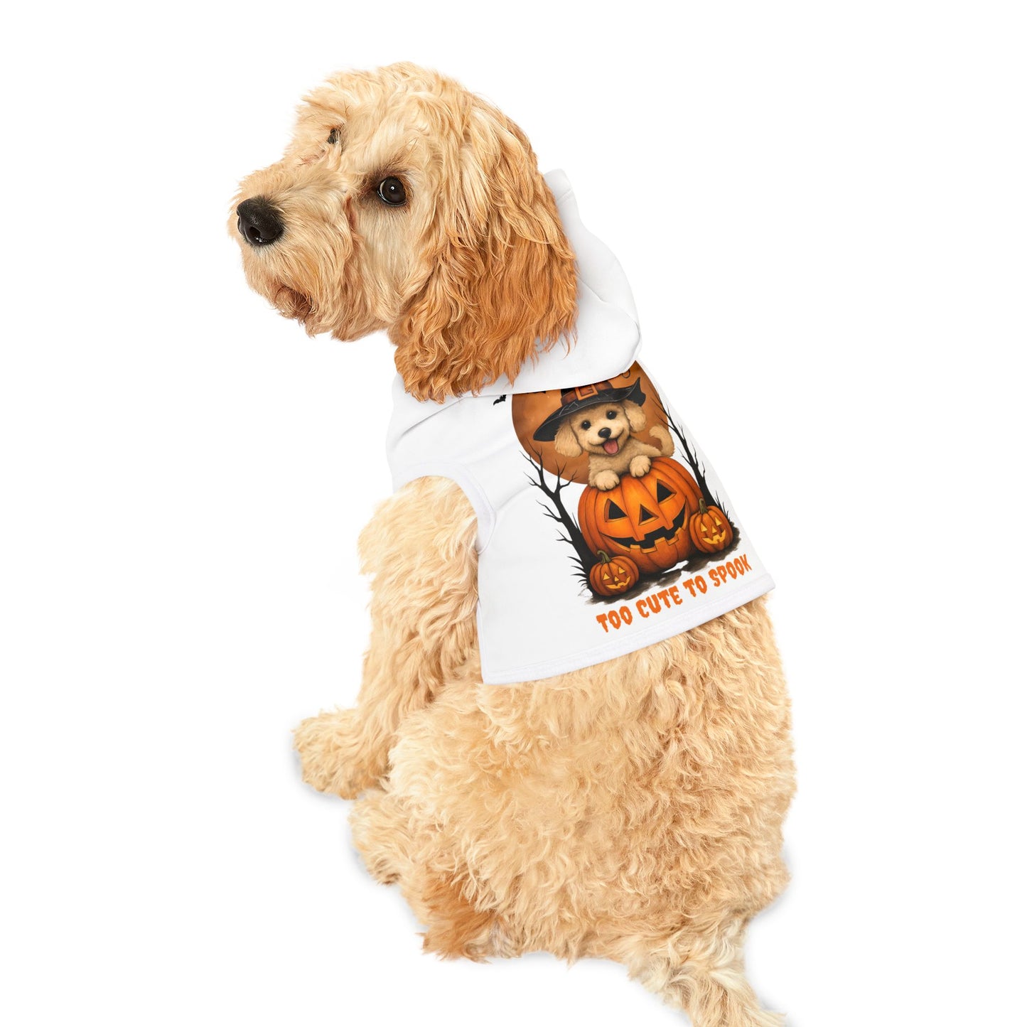 Dog wearing a Halloween-themed hoodie with a pumpkin design on a white background