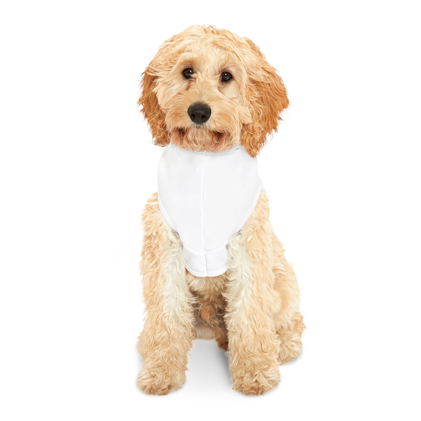 Cute Mini Pinscher White Halloween Dog Hoodie – Too Cute to Spook!