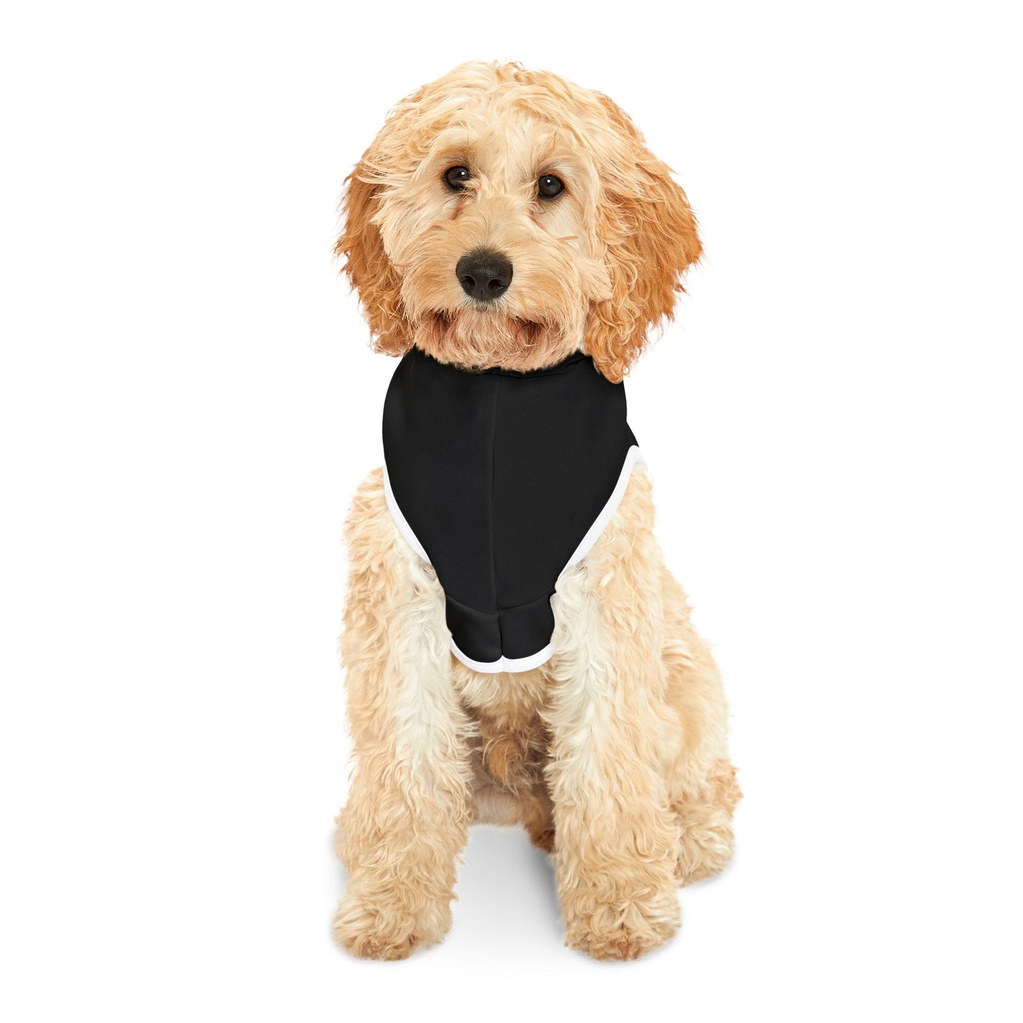Cute Yorkie Black Halloween Dog Hoodie – Too Cute to Spook!