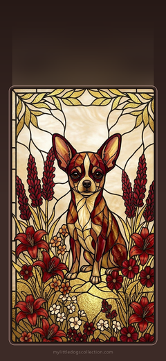 Chihuahua wallpaper, Fire & Gold