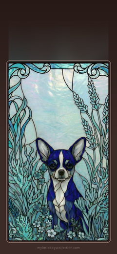 Chihuahua wallpaper, Alert & True