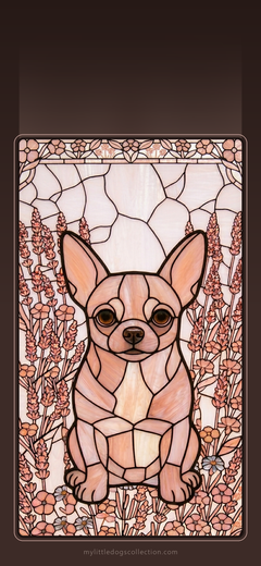 Chihuahua wallpaper, Blush & Grace