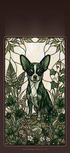 Chihuahua wallpaper, Wise & Wild