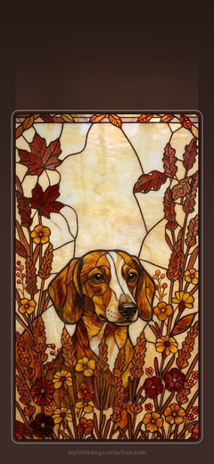 Dachshund wallpaper, Autumn Warmth
