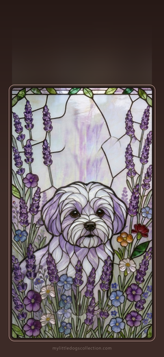 Maltese wallpaper, Lavender