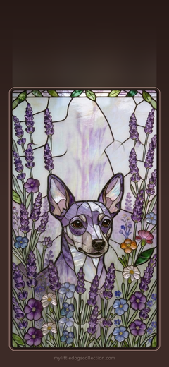 Mini Pinscher wallpaper, Lavender