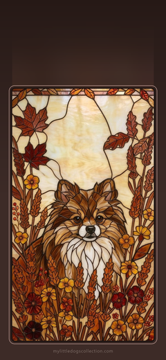 Pomeranian wallpaper, Autumn Warmth