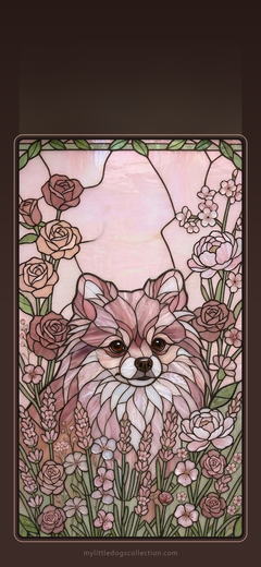 Pomeranian wallpaper, Rose Garden
