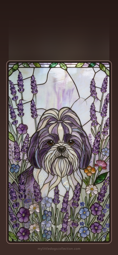 Shih Tzu wallpaper, Lavender