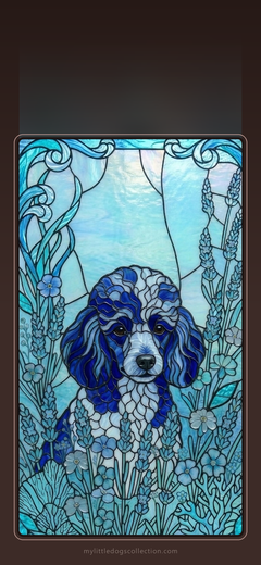 Toy Poodle wallpaper, Ocean Blue