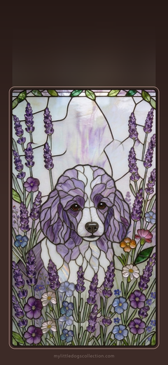 Toy Poodle wallpaper, Lavender