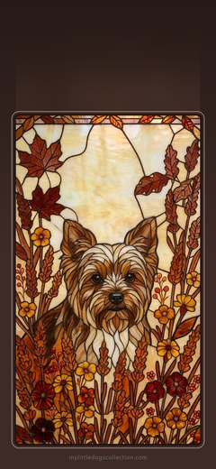 Yorkie wallpaper, Autumn Warmth