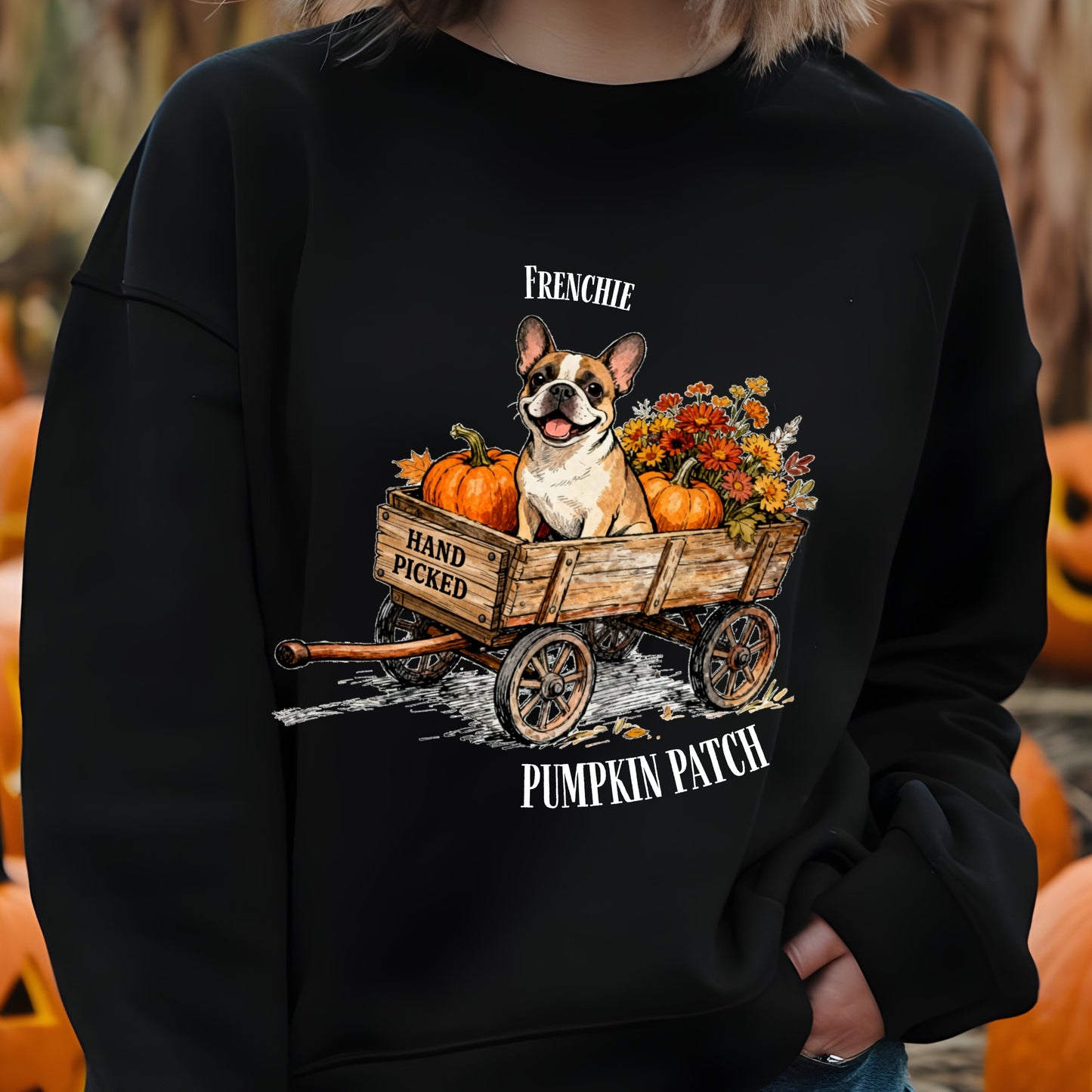 Black sweatshirt with a dog in a wagon graphic and 'Pumpkin Patch' text, set against a pumpkin patch background.