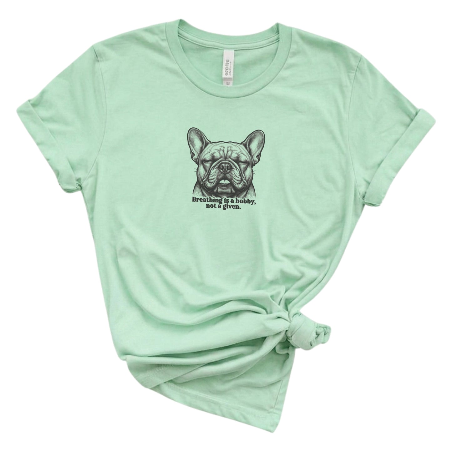 Mint green t-shirt with a graphic of a dog and text on a white background