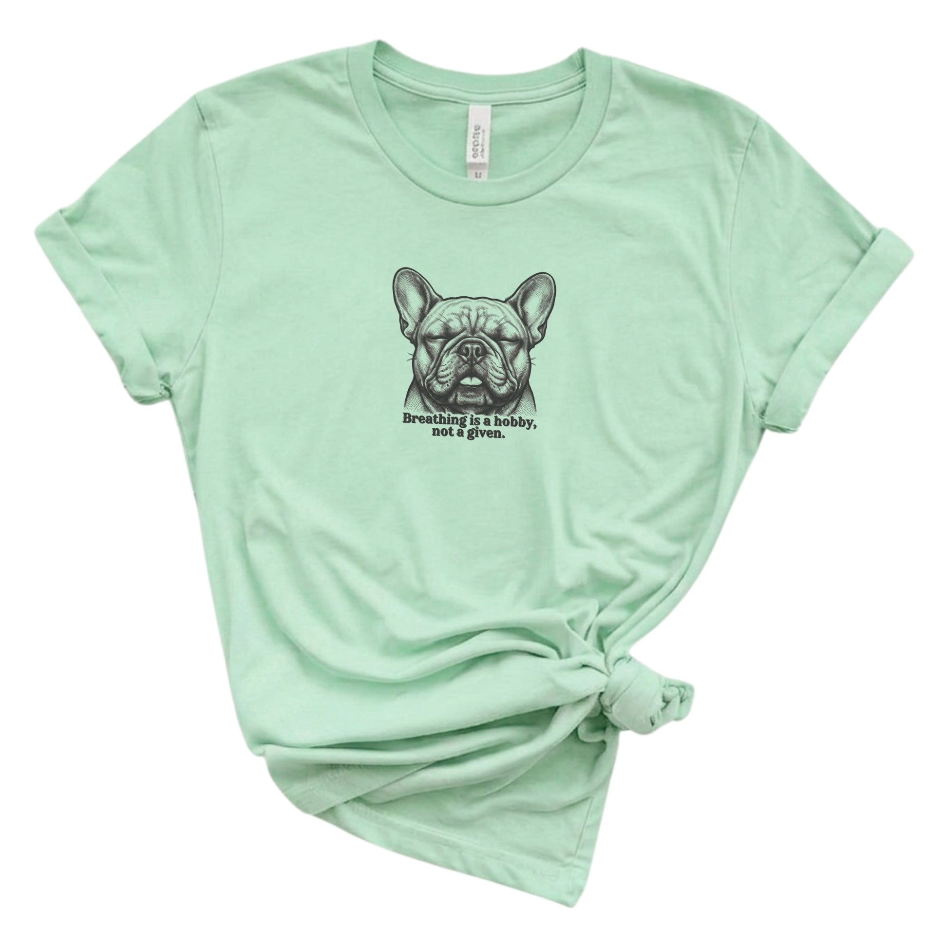 Mint green t-shirt with a graphic of a dog and text on a white background