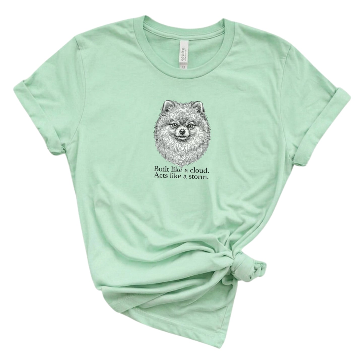 Mint green t-shirt with a dog graphic and text on a white background