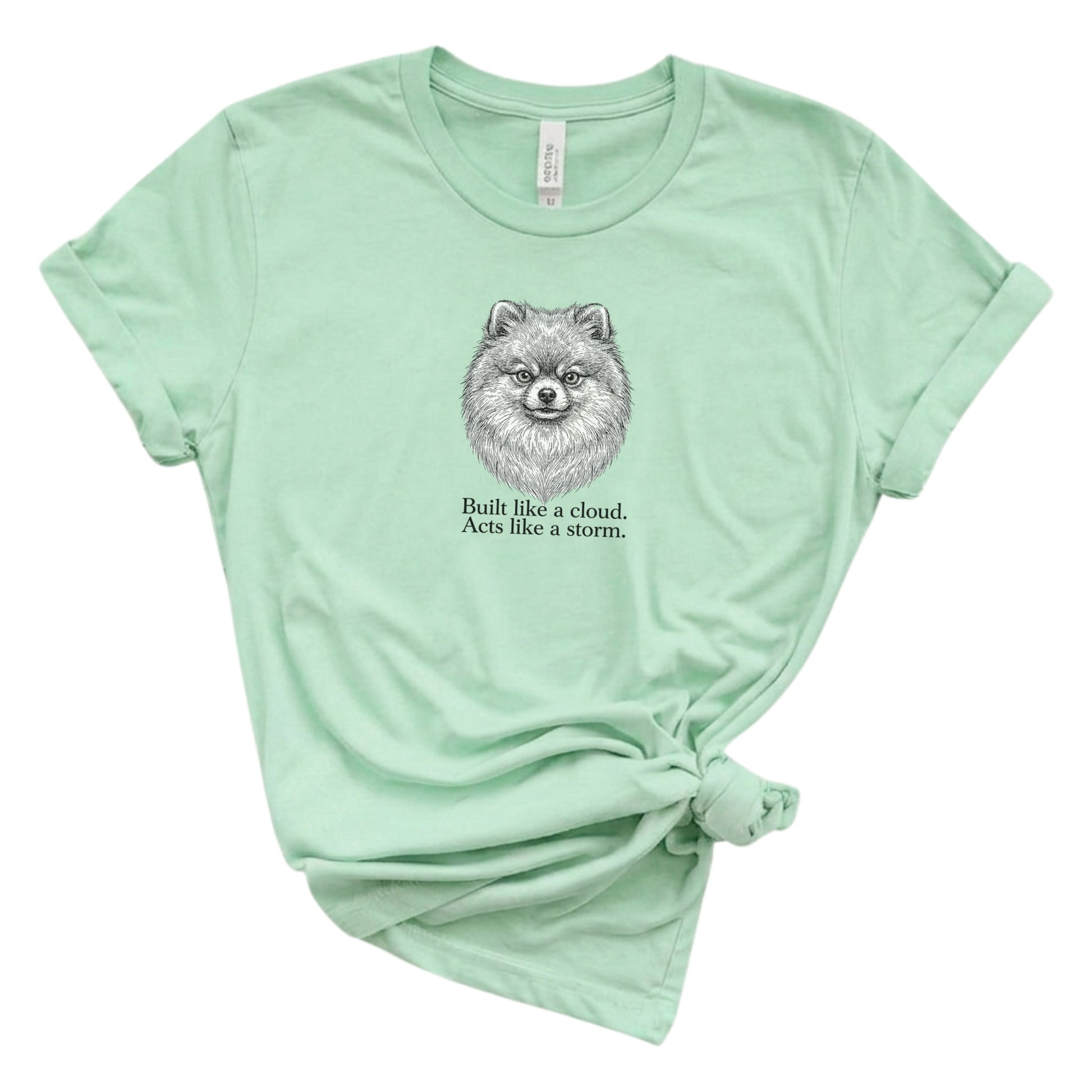Mint green t-shirt with a dog graphic and text on a white background
