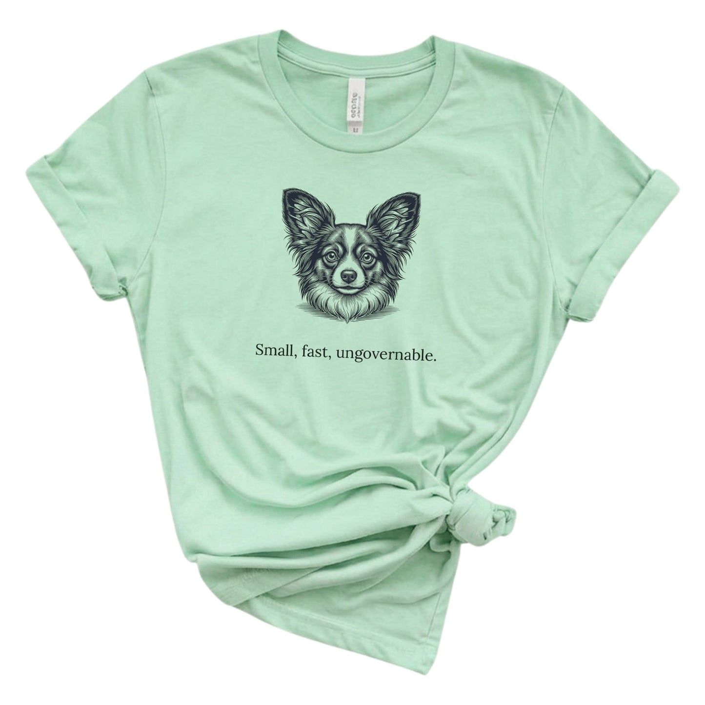 Mint green t-shirt with a dog illustration and text on a white background
