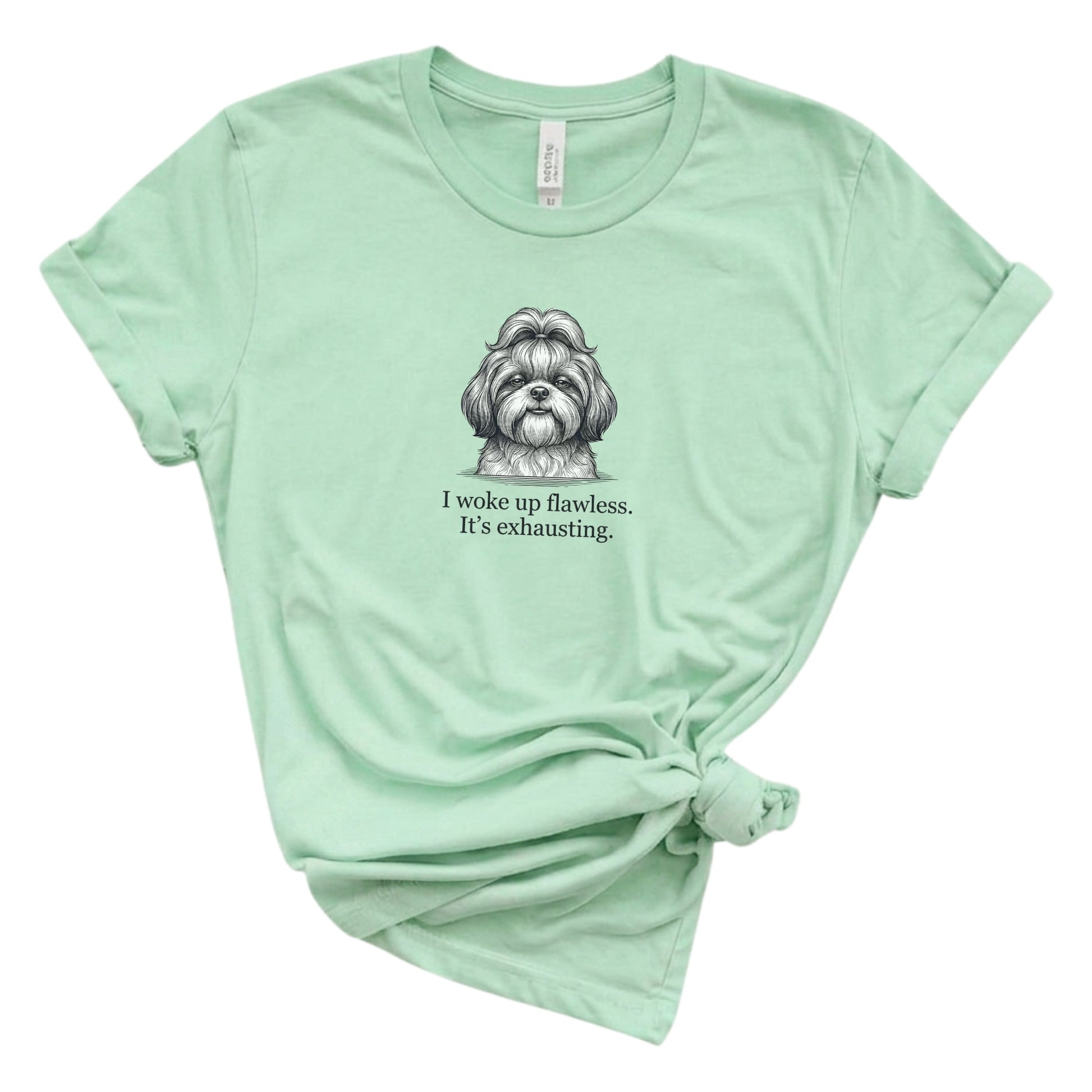 Mint green t-shirt with a dog illustration and text on a white background