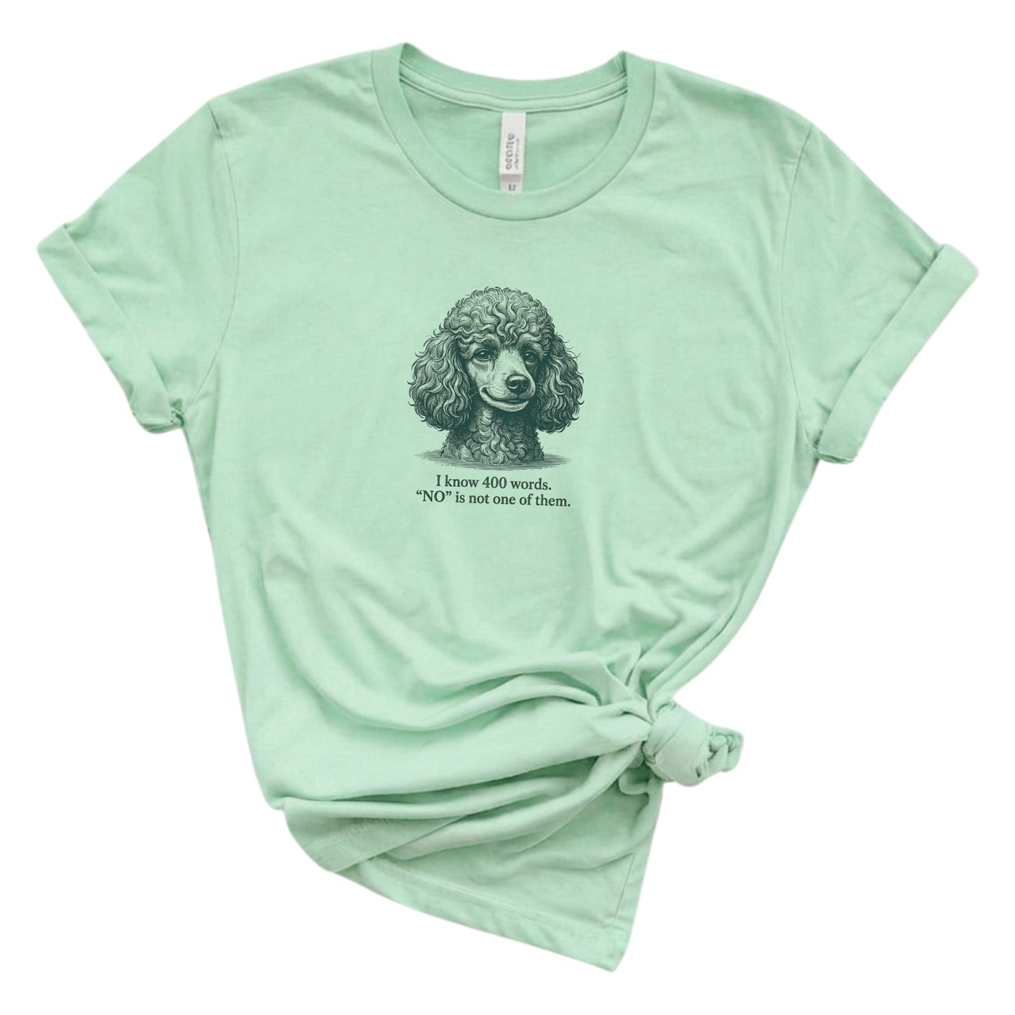 Mint green t-shirt with a poodle graphic and text on a white background