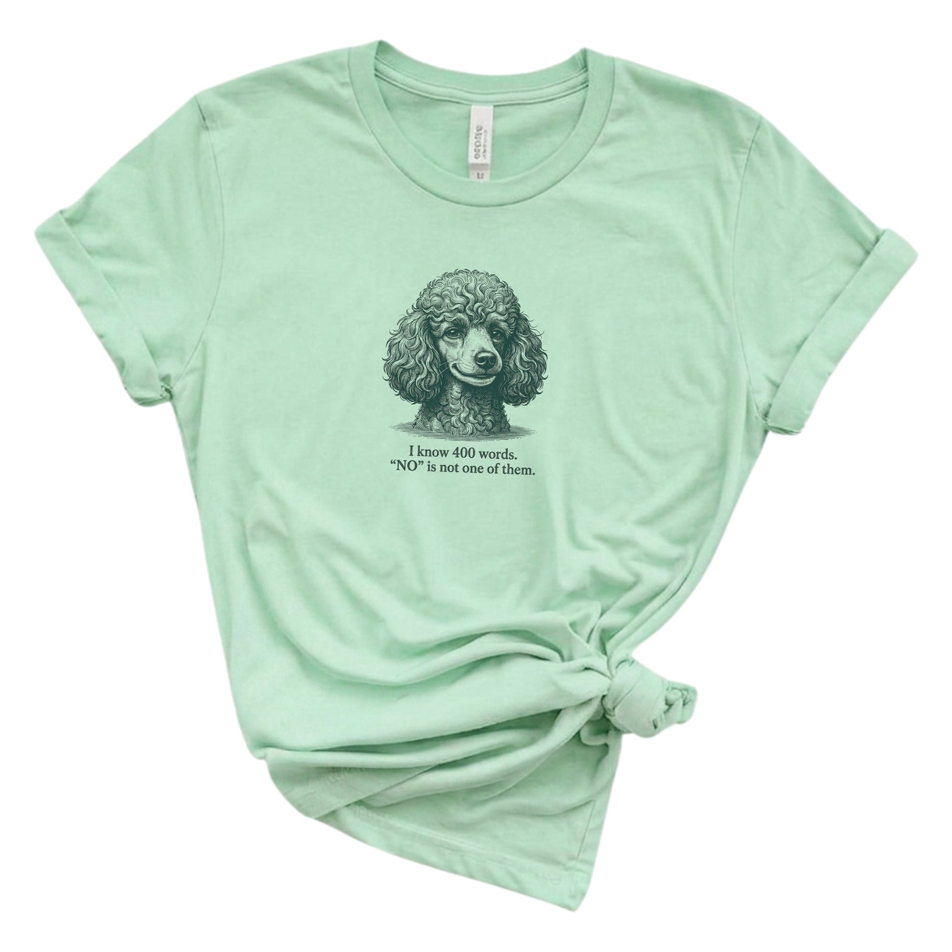 Mint green t-shirt with a poodle graphic and text on a white background