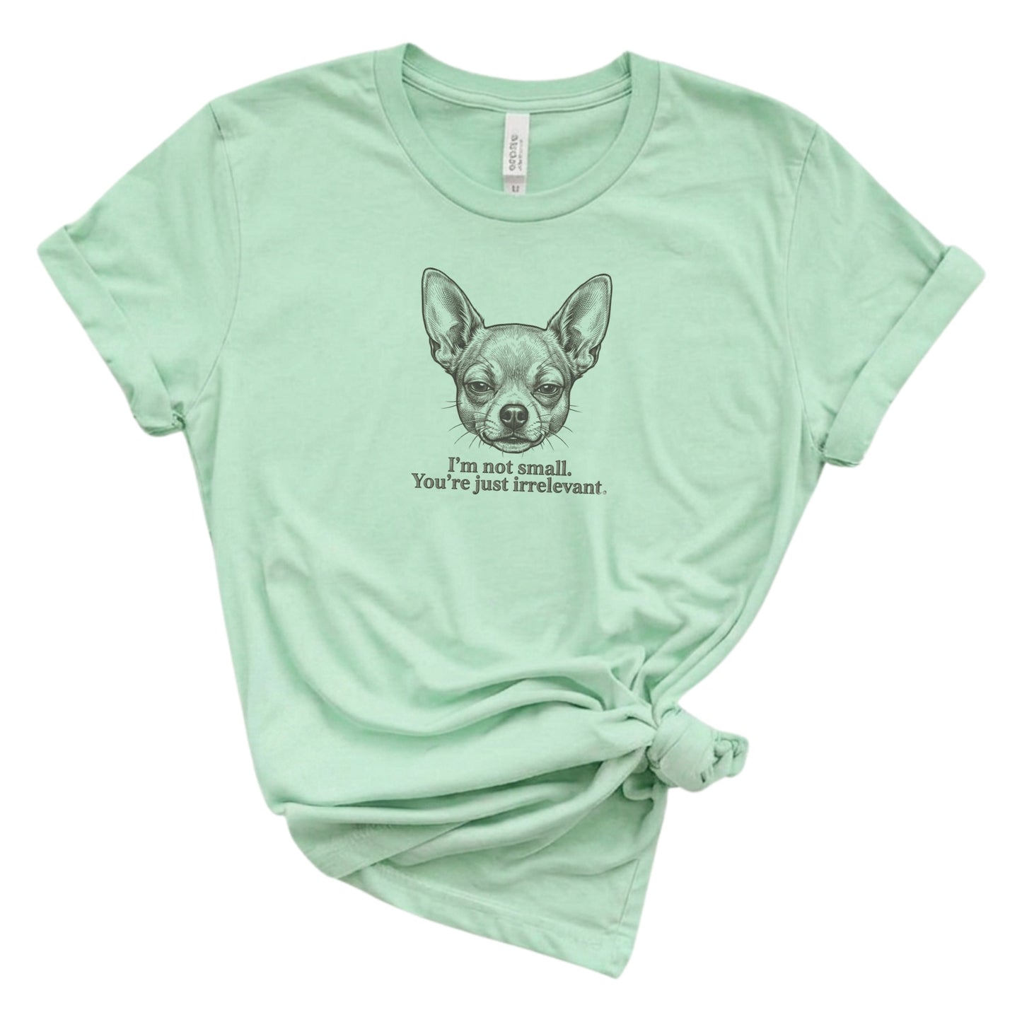 Mint green t-shirt with a dog graphic and text on a white background