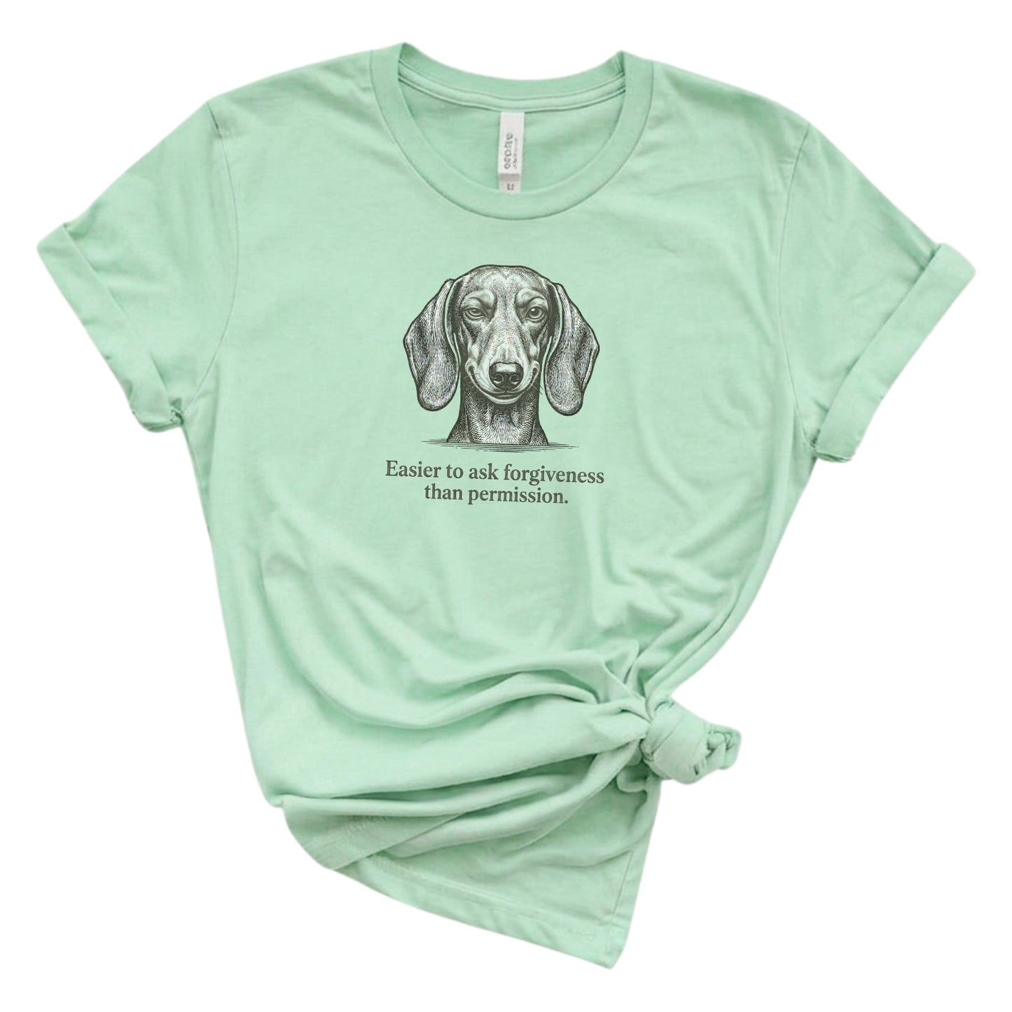 Mint green t-shirt with a dachshund graphic and text on a white background