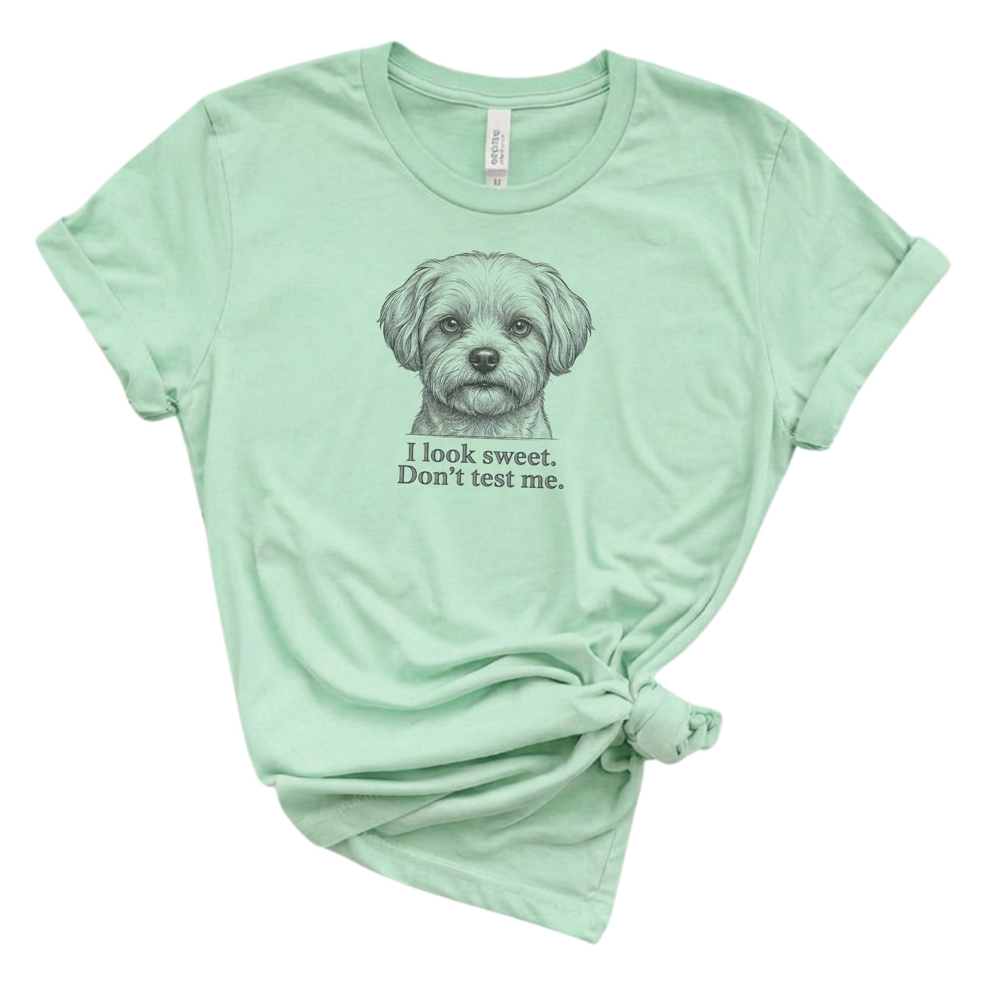 Mint green t-shirt with a dog graphic and text on a white background