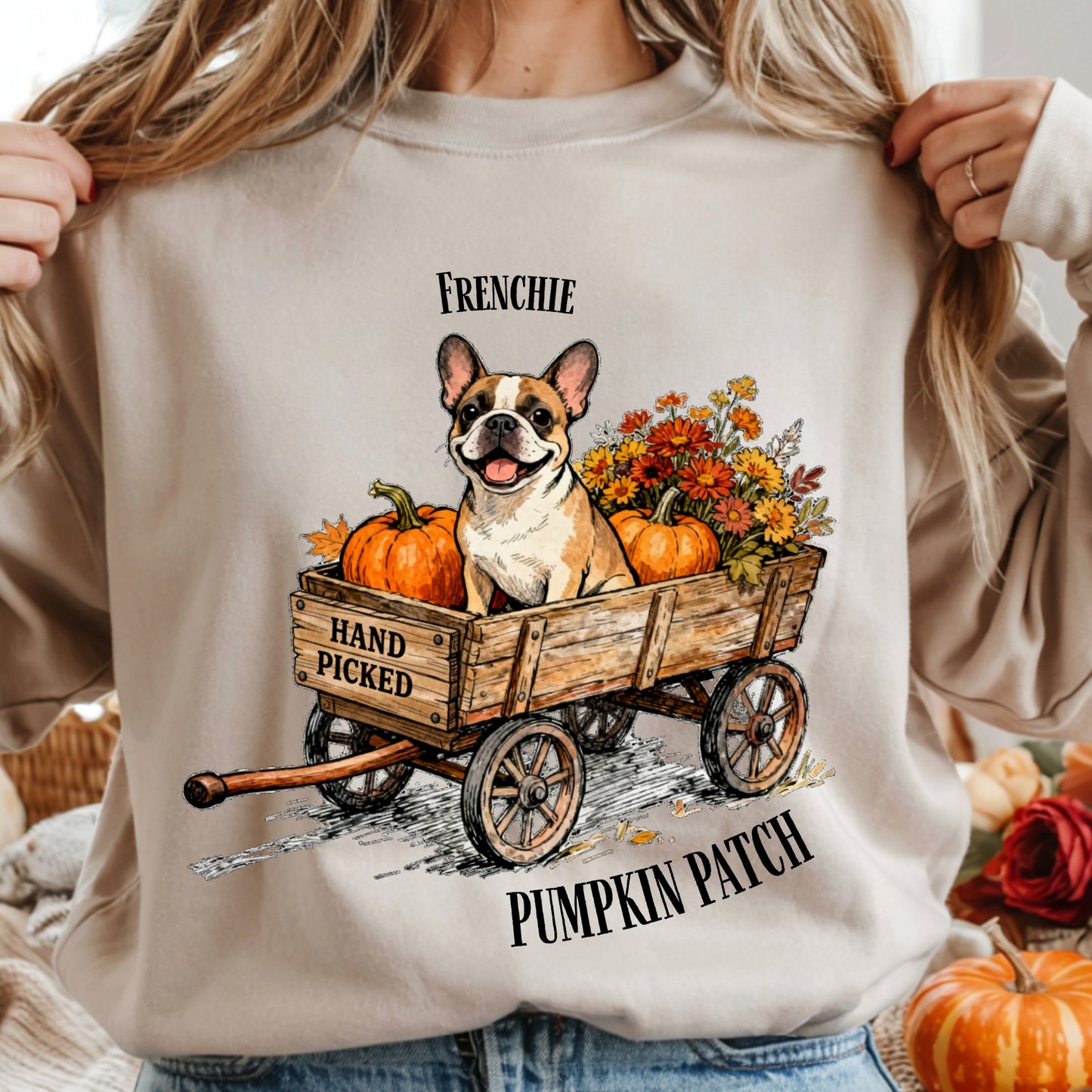 Beige sweatshirt with a dog and pumpkin design, held by a person.