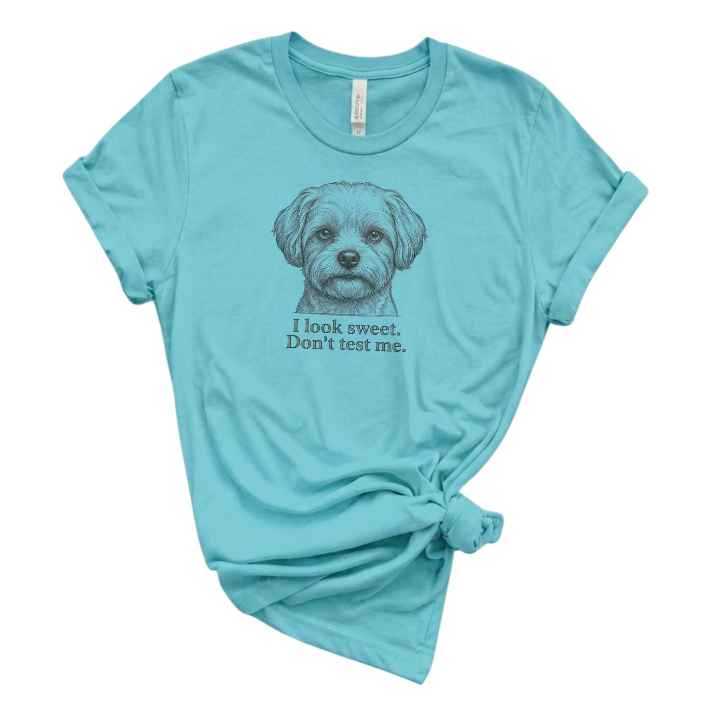 Light blue t-shirt with a dog graphic and text on a white background