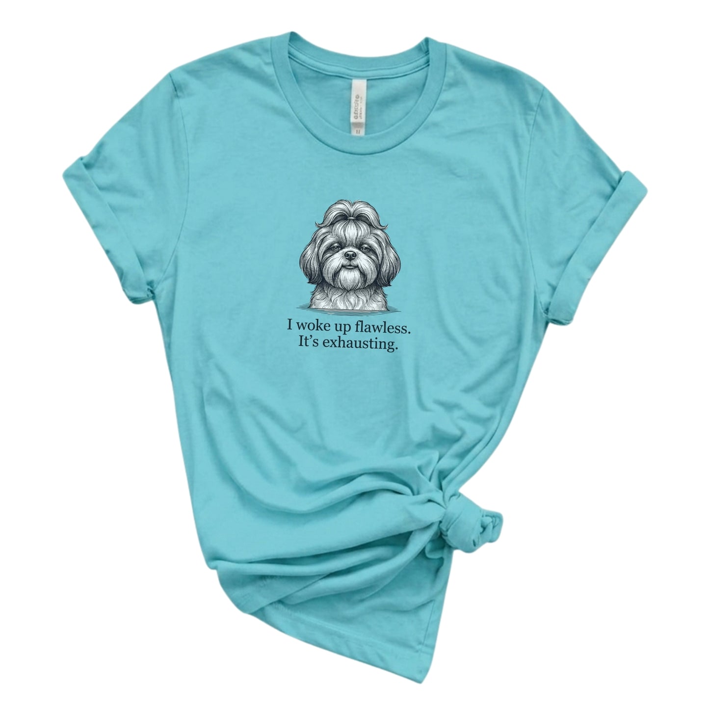 Light blue t-shirt with a dog illustration and text on a white background