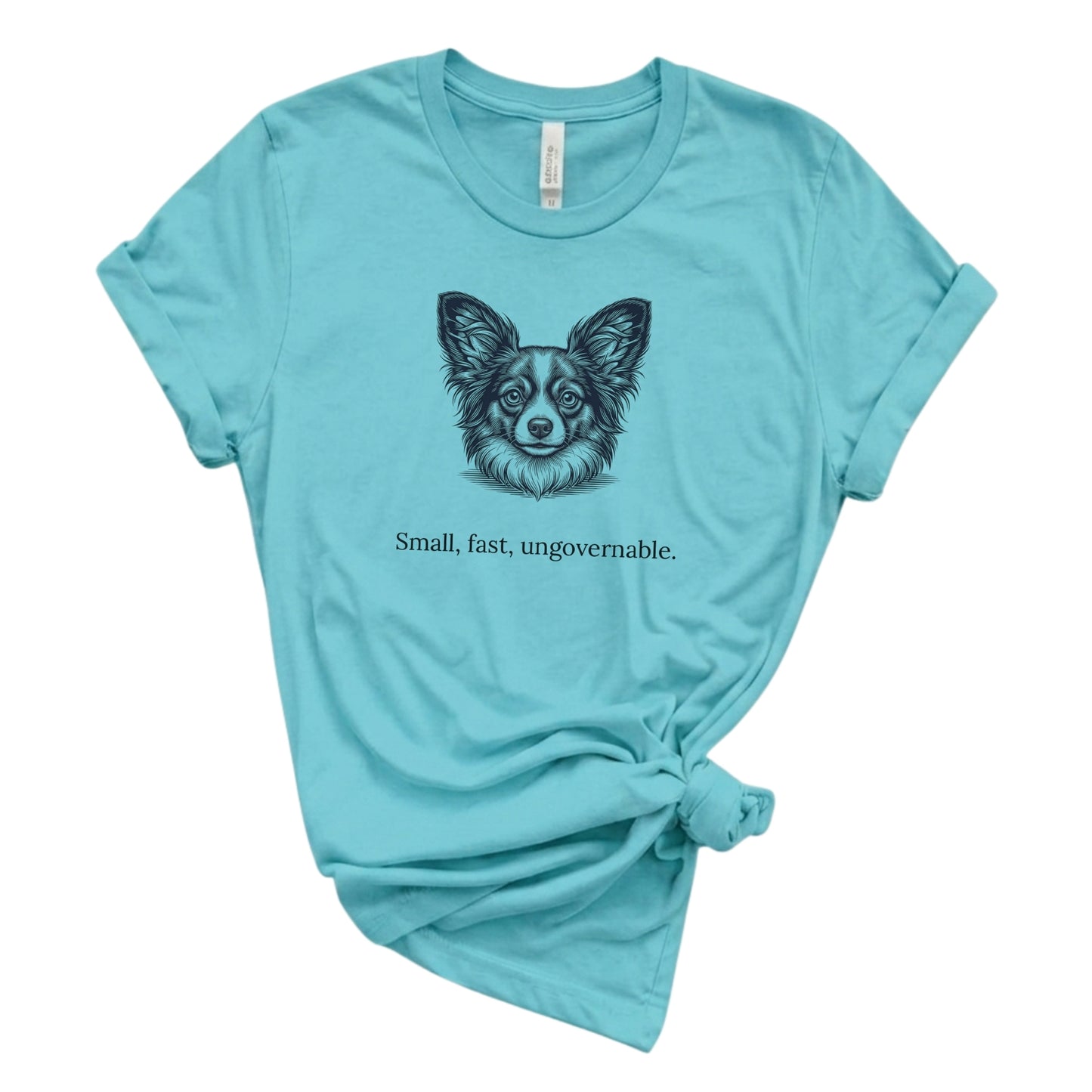 Light blue t-shirt with a dog illustration and text on a white background