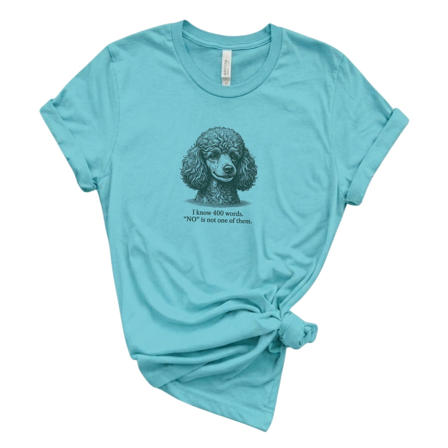 Light blue t-shirt with a poodle graphic and text on a white background