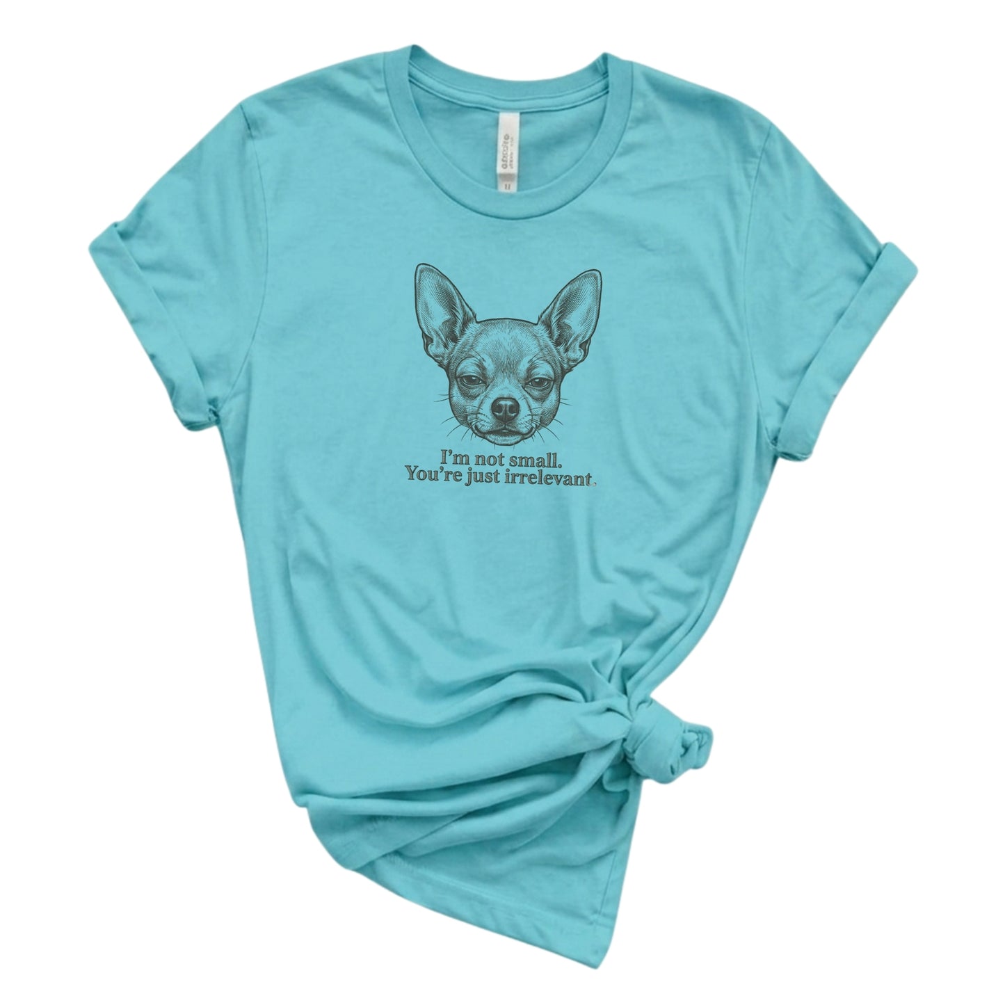 Light blue t-shirt with a dog illustration and text on a white background