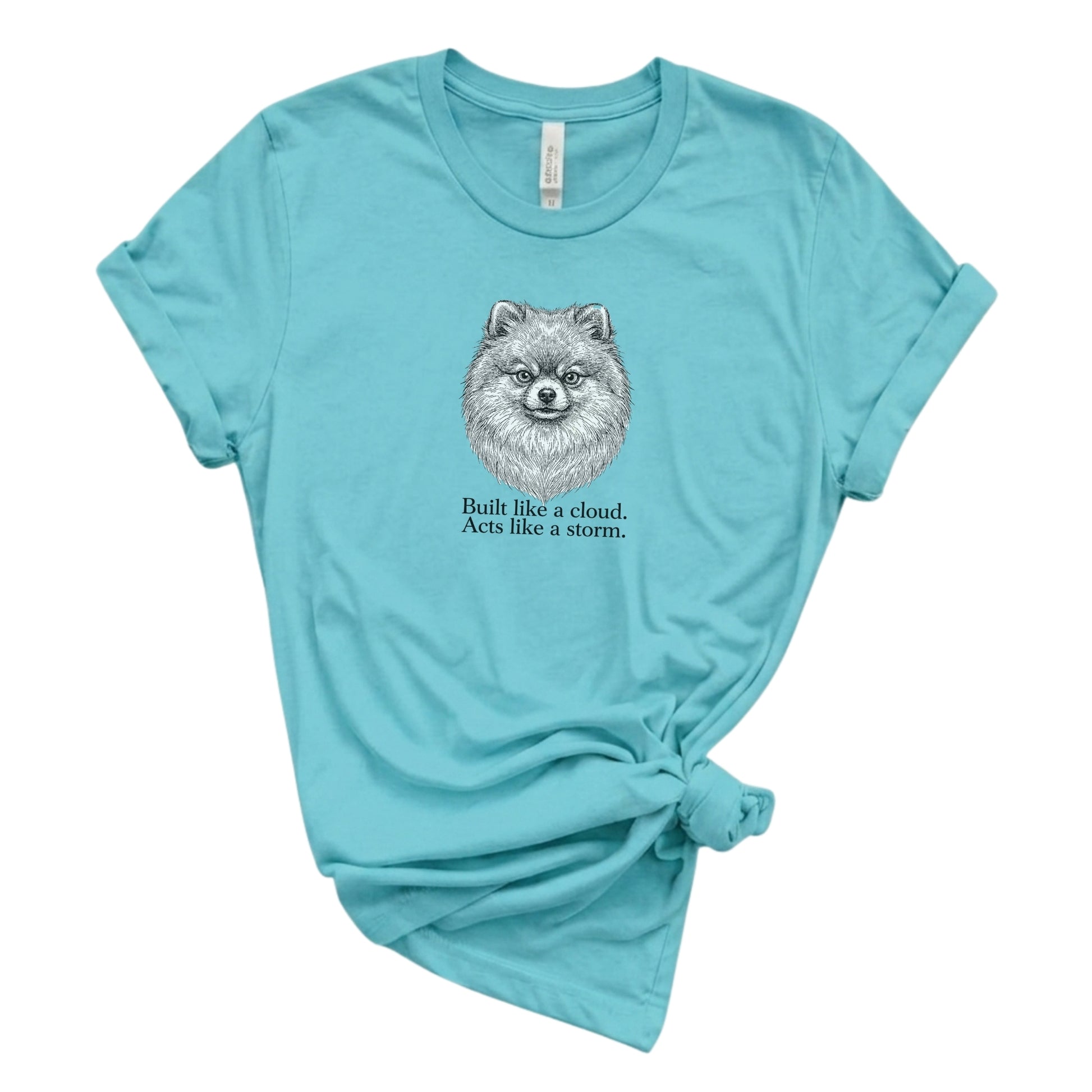 Light blue t-shirt with a dog illustration and text on a white background